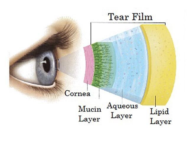 tear film layers